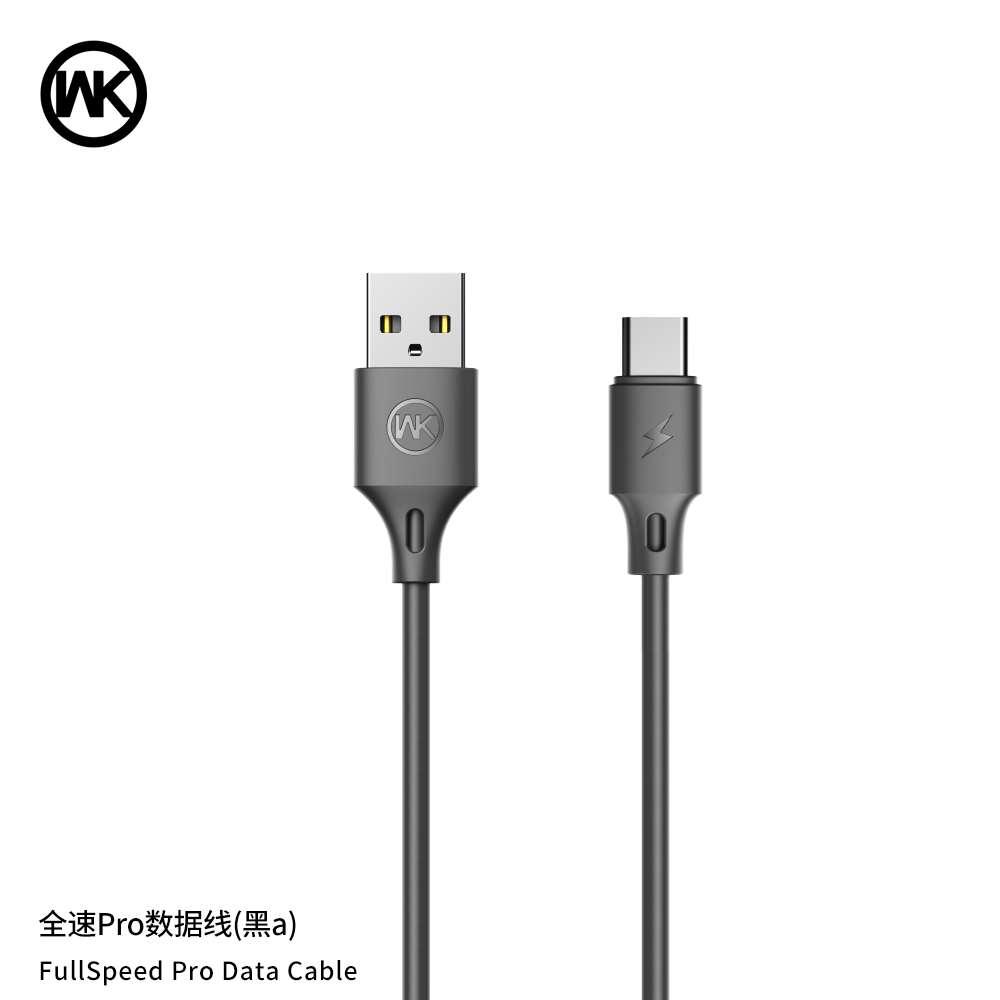 WDC-092 USB A-L 3M Charging Cable