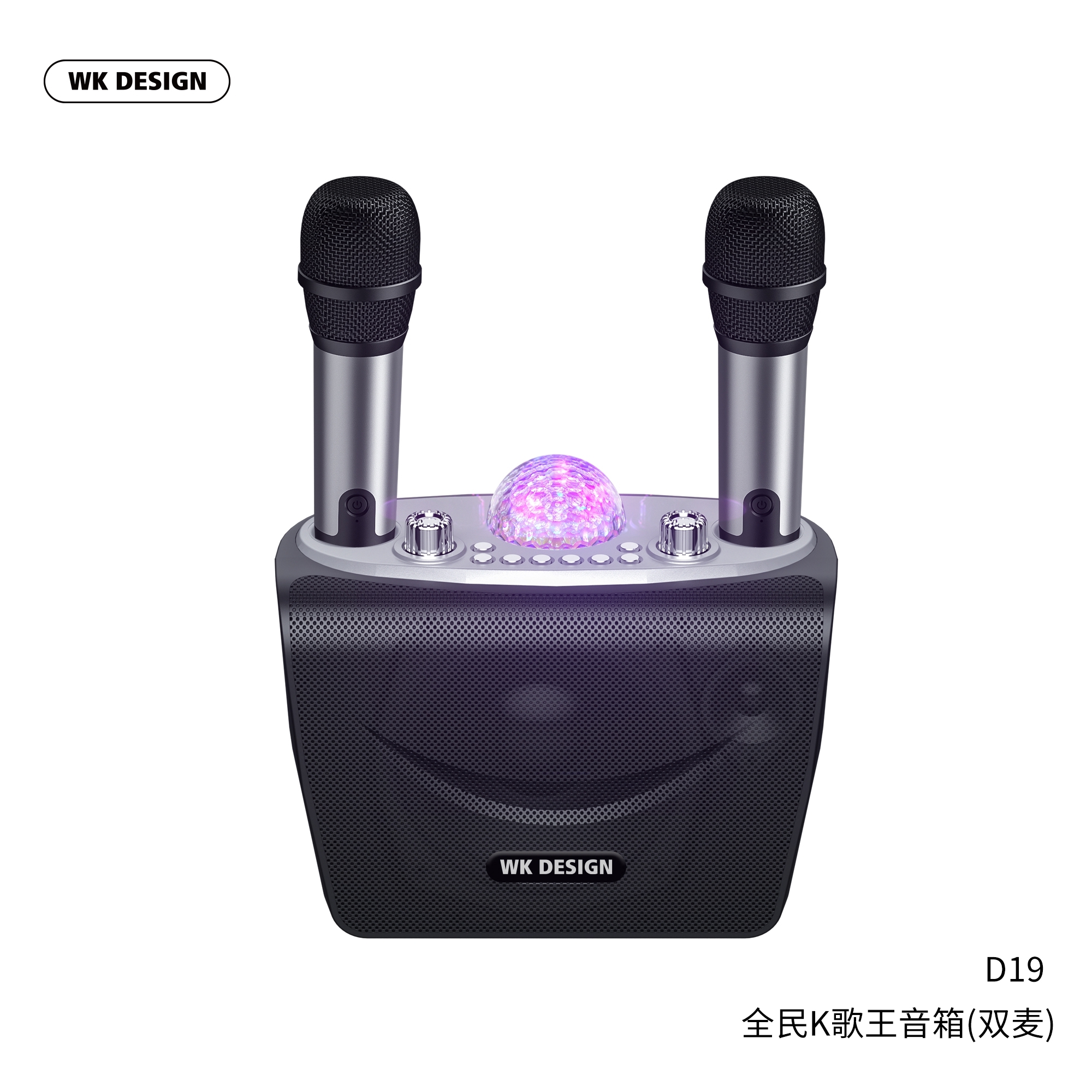 D19 Karaoke  Bluetooth Speaker